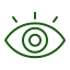 Vision