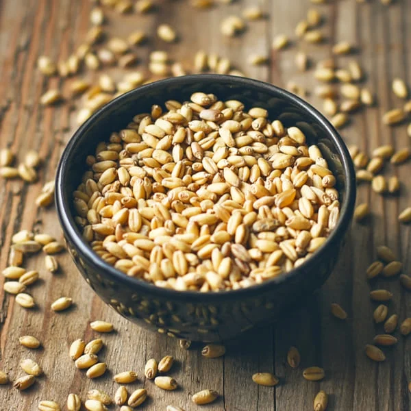 Wheat powder and slices